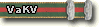 Programm VaKV