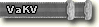 Programm VaKV